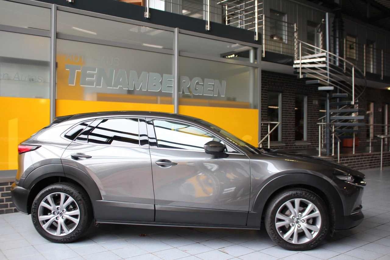 Mazda CX-30 Selection 2WD Matrix Bose HuD Navi SR + WR - SUV: picture 3 Mazda CX-30 Selection 2WD Matrix Bose HuD Navi SR + WR - SUV: picture 3