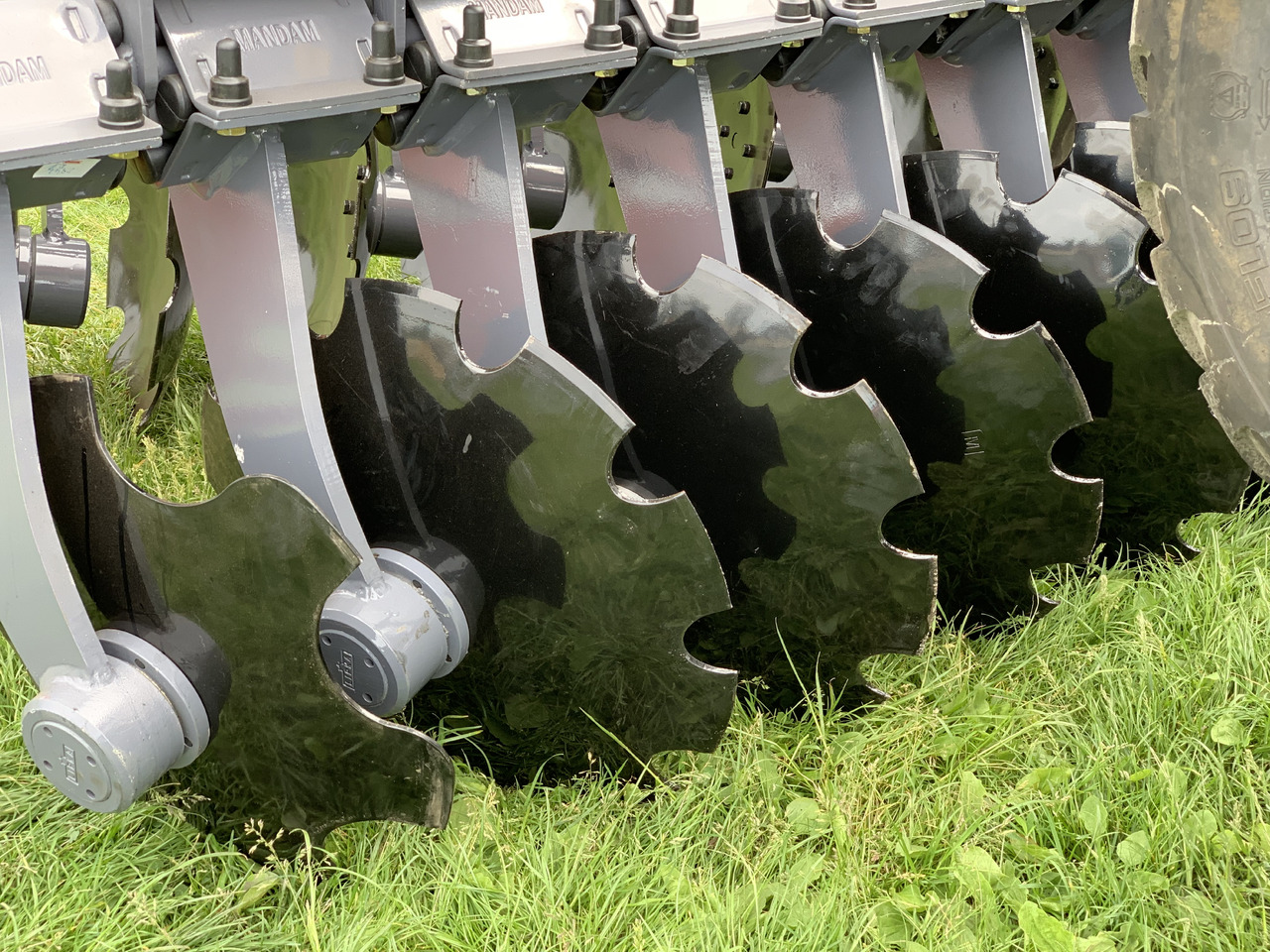 MANDAM Déchaumeur à disques GAL-TAL - Disc harrow: picture 2 MANDAM Déchaumeur à disques GAL-TAL - Disc harrow: picture 2