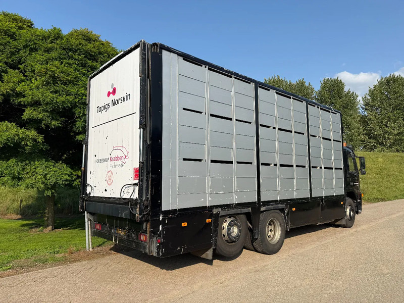 Livestock truck Volvo FM 300 Livestock Cuppers 3 laags 6x2: picture 18