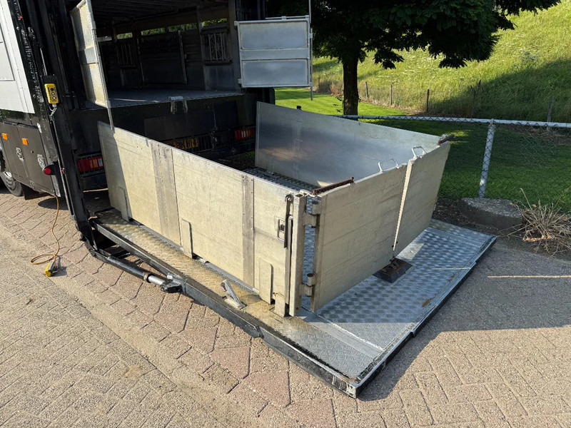 Livestock truck Volvo FM 300 Livestock Cuppers 3 laags 6x2: picture 8