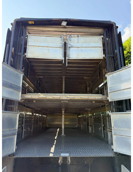 Livestock truck Volvo FM 300 Livestock Cuppers 3 laags 6x2: picture 7