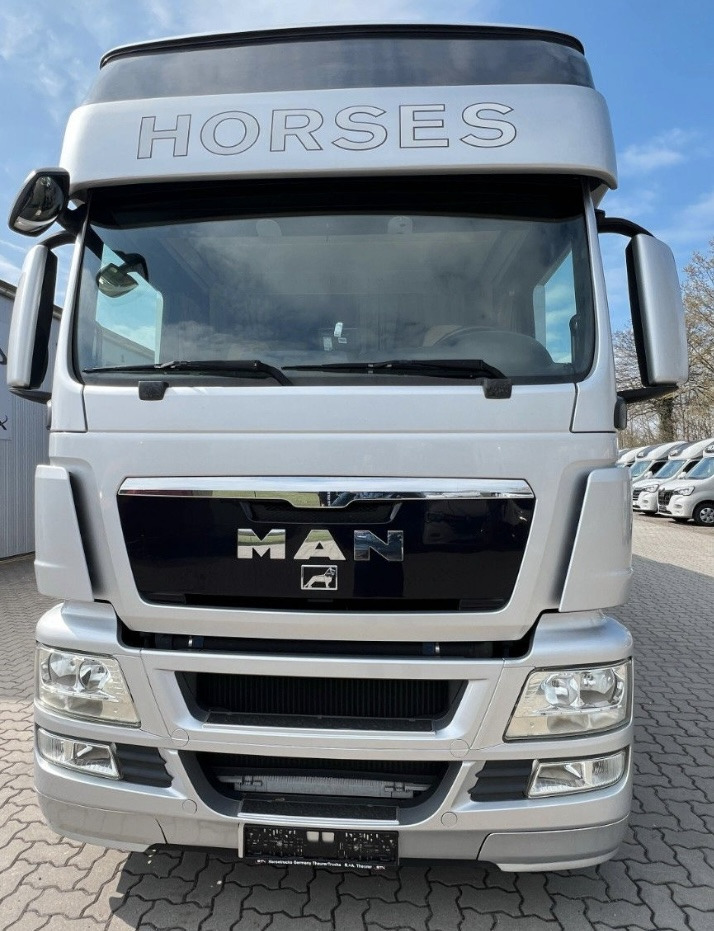 MAN 26.480 5 pferde - Horse truck: picture 2 MAN 26.480 5 pferde - Horse truck: picture 2