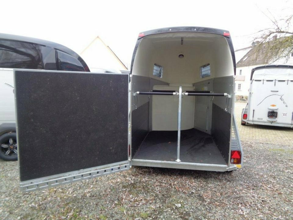 Horse trailer Böckmann Pferdeanhänger zu VERMIETEN Leihanhänger ab 55€/Tag: picture 9