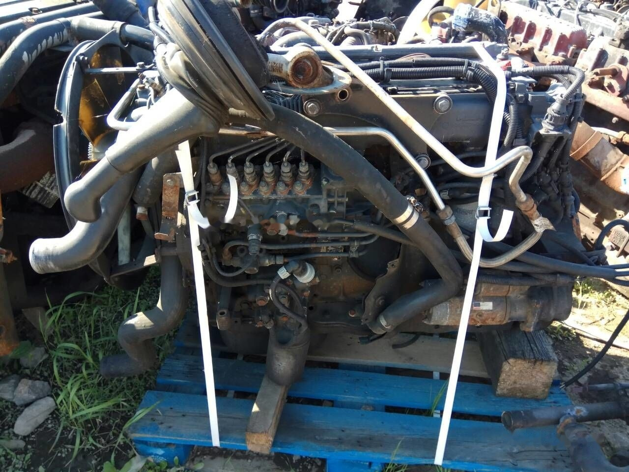 MAN D0826 LF17 MAN M 2000 M - Engine for Truck: picture 3 MAN D0826 LF17 MAN M 2000 M - Engine for Truck: picture 3