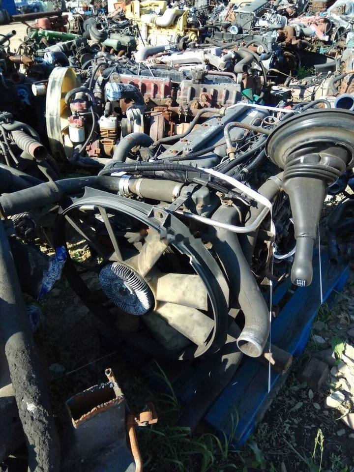 MAN D0826 LF17 MAN M 2000 M - Engine for Truck: picture 2 MAN D0826 LF17 MAN M 2000 M - Engine for Truck: picture 2