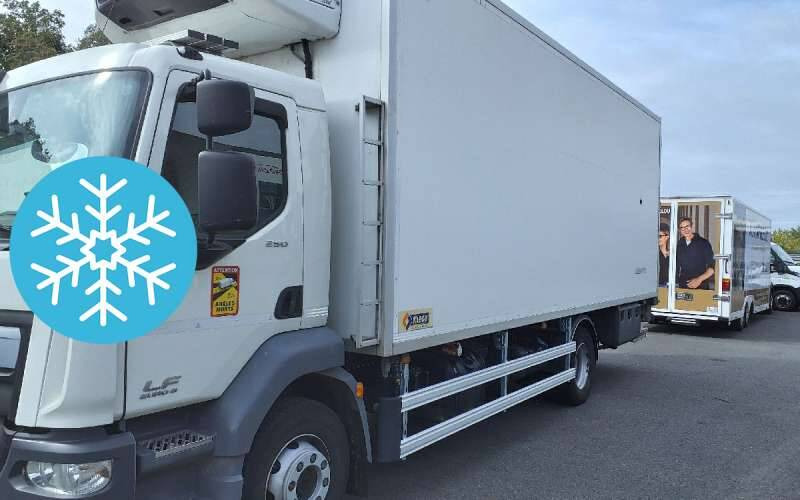 Camion Porteur FRIGO 14 TONNES 250 CV HAYON CARROSSERIE KLEGE MONO TEMP GROUPE CARRIER SUPRA 85 - Refrigerated truck: picture 1 Camion Porteur FRIGO 14 TONNES 250 CV HAYON CARROSSERIE KLEGE MONO TEMP GROUPE CARRIER SUPRA 85 - Refrigerated truck: picture 1