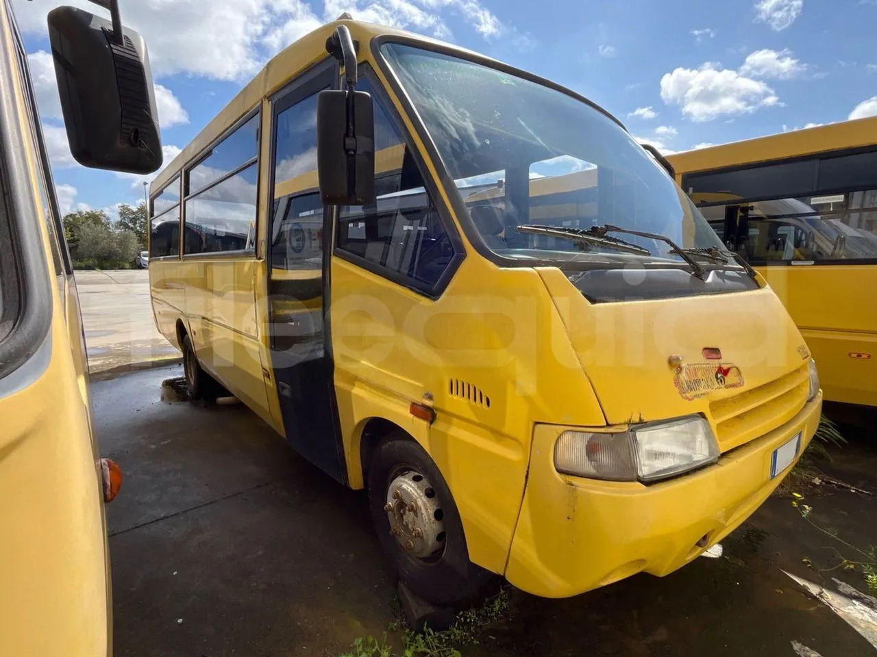 Iveco Cacciamali - School bus: picture 2 Iveco Cacciamali - School bus: picture 2