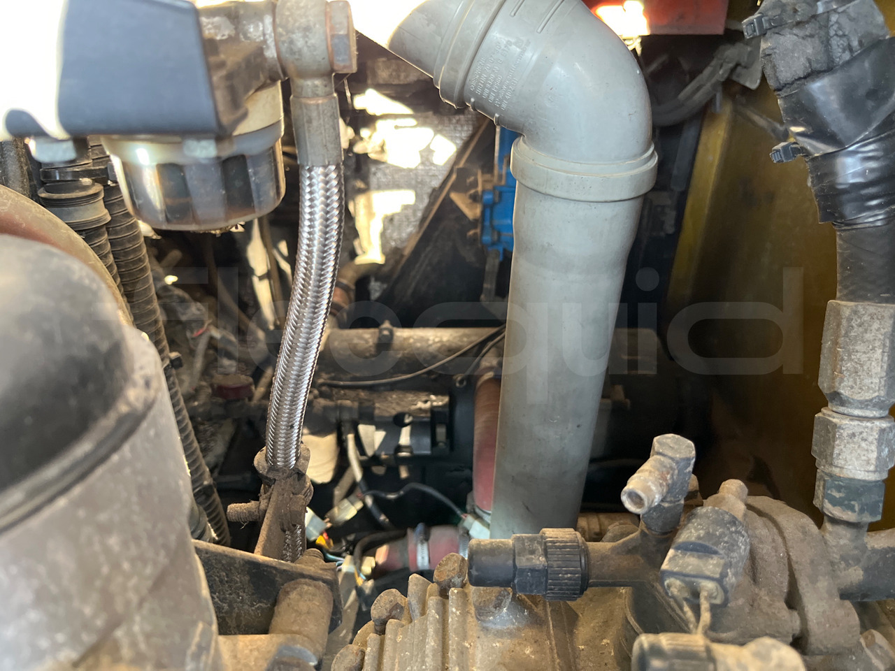 Leasing of Iveco Dalla Via Iveco Dalla Via: picture 18 Leasing of Iveco Dalla Via Iveco Dalla Via: picture 18