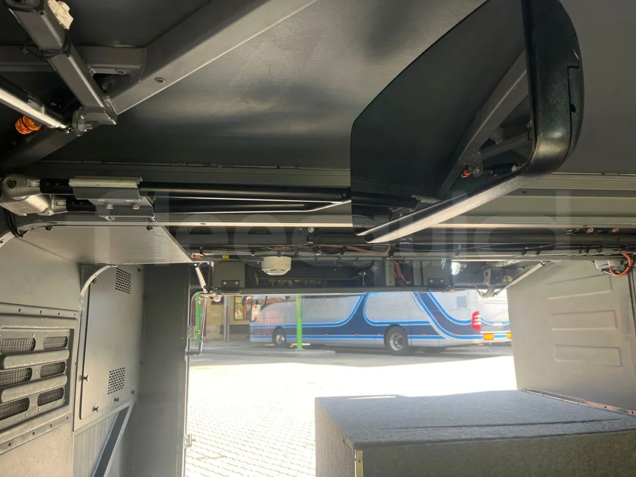 Leasing of Man Lion's Coach Man Lion's Coach: picture 20 Leasing of Man Lion's Coach Man Lion's Coach: picture 20