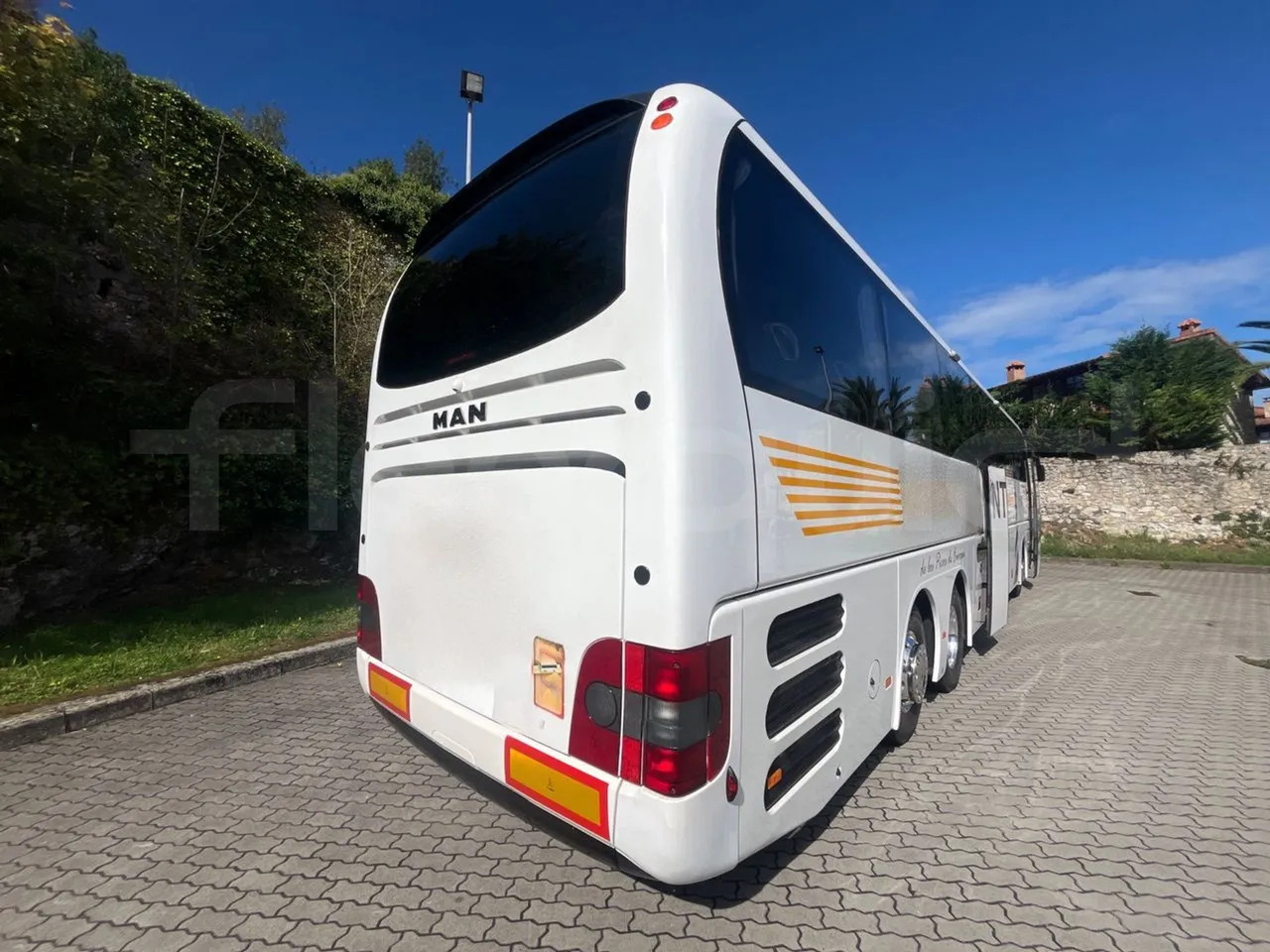 Leasing of Man Lion's Coach Man Lion's Coach: picture 12 Leasing of Man Lion's Coach Man Lion's Coach: picture 12