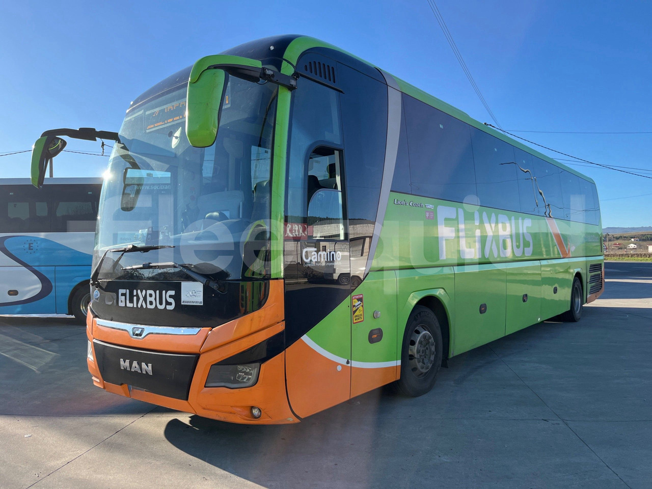 Man Lion's Coach - Coach: picture 4 Man Lion's Coach - Coach: picture 4