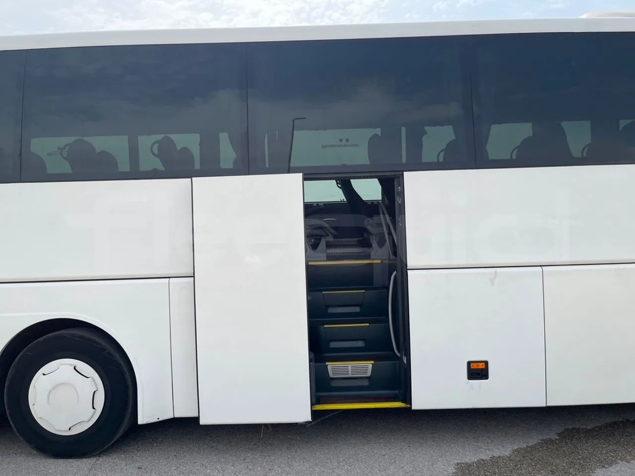 Coach Man Lion's Coach: picture 16 Coach Man Lion's Coach: picture 16