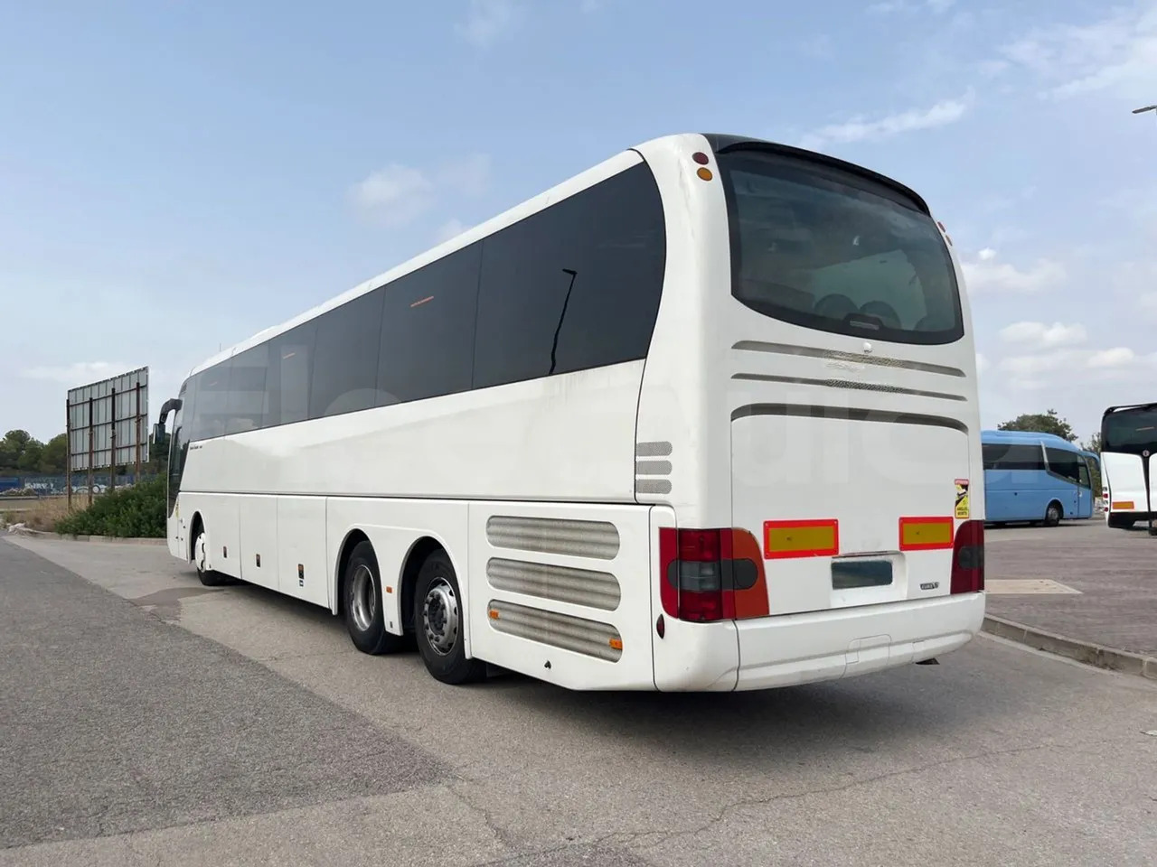 Coach Man Lion's Coach: picture 9 Coach Man Lion's Coach: picture 9