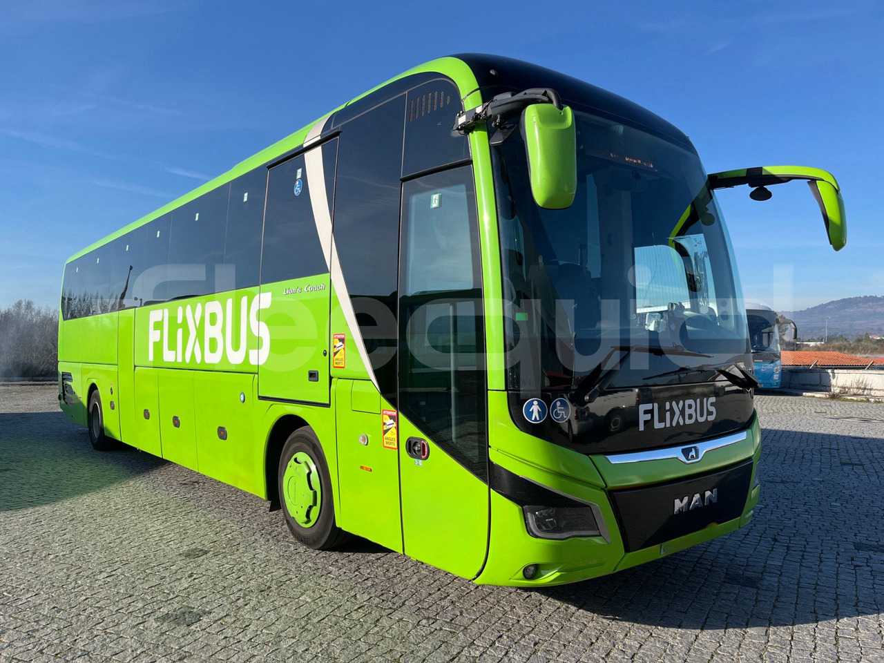 Man Lion's Coach - Coach: picture 1 Man Lion's Coach - Coach: picture 1