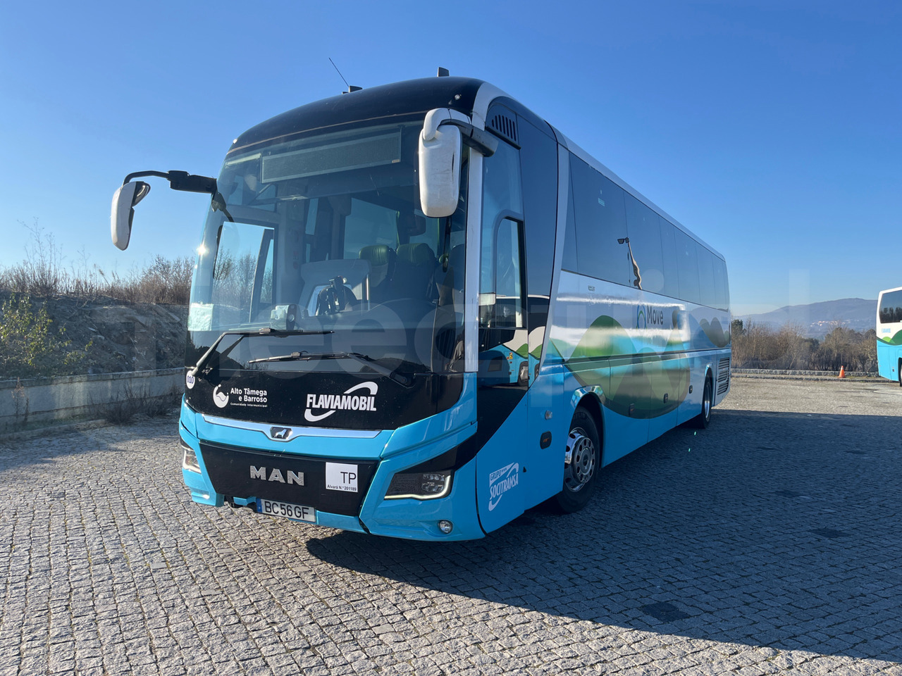 Man Lion's Coach - Coach: picture 4 Man Lion's Coach - Coach: picture 4