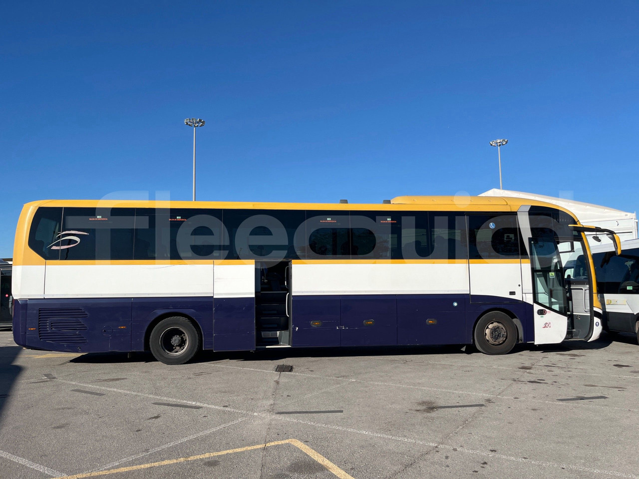 Coach Man Lion's Coach: picture 17