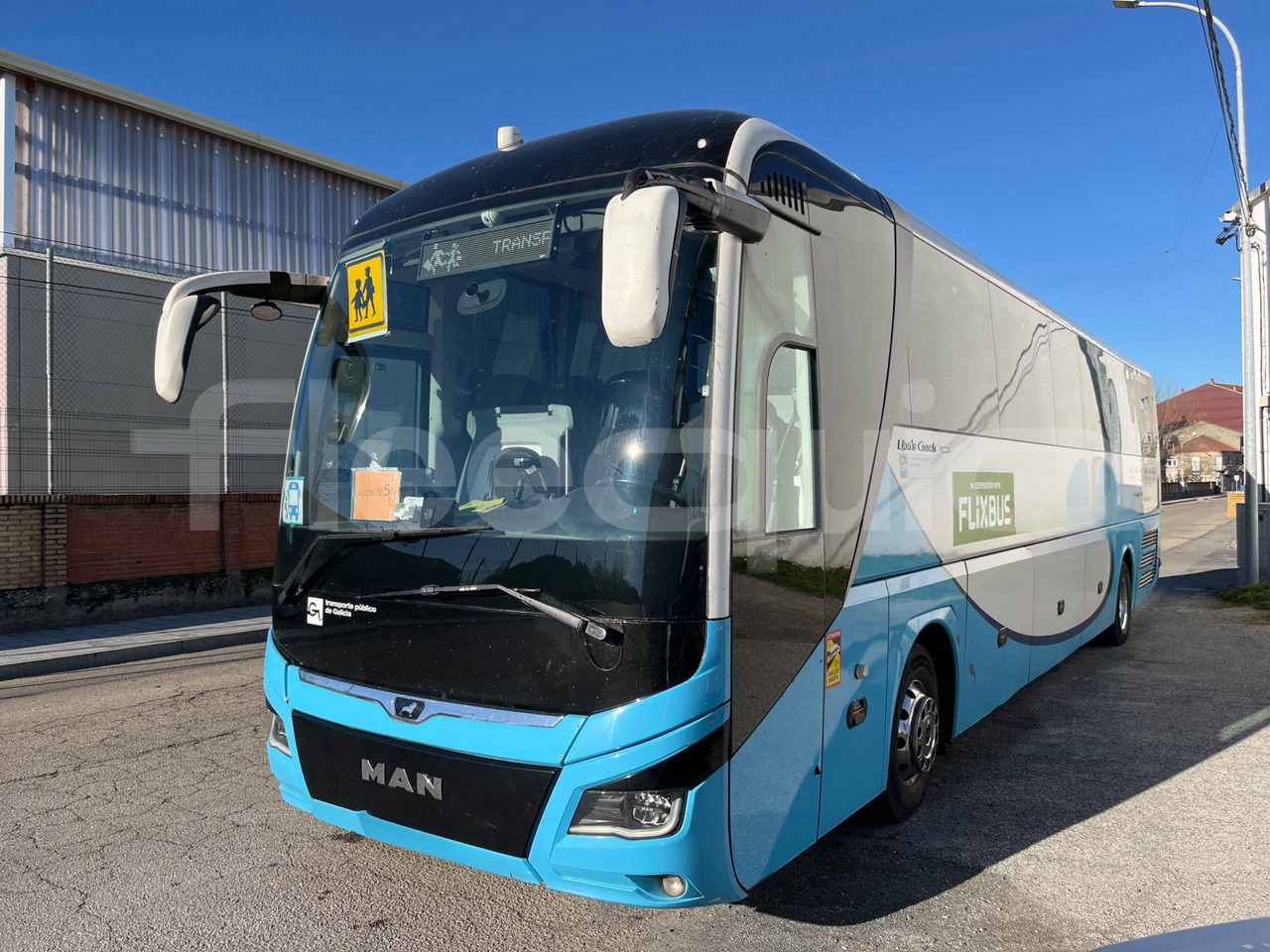 Man Lion's Coach - Coach: picture 4 Man Lion's Coach - Coach: picture 4