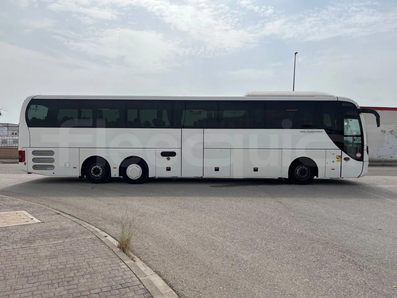 Coach Man Lion's Coach: picture 13 Coach Man Lion's Coach: picture 13