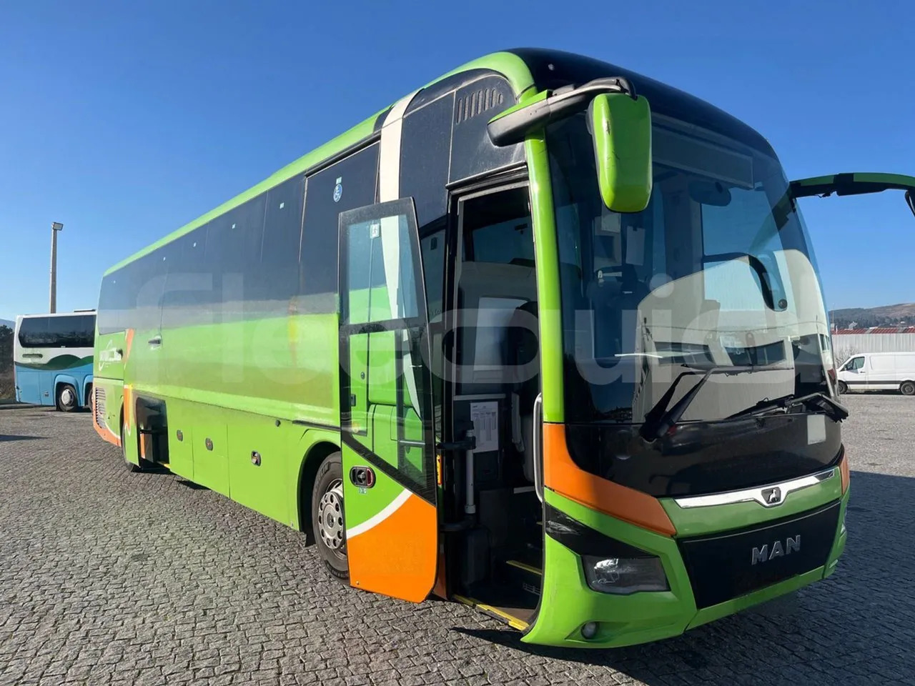 Man Lion's Coach - Coach: picture 1 Man Lion's Coach - Coach: picture 1