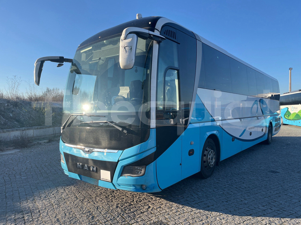 Man Lion's Coach - Coach: picture 4 Man Lion's Coach - Coach: picture 4