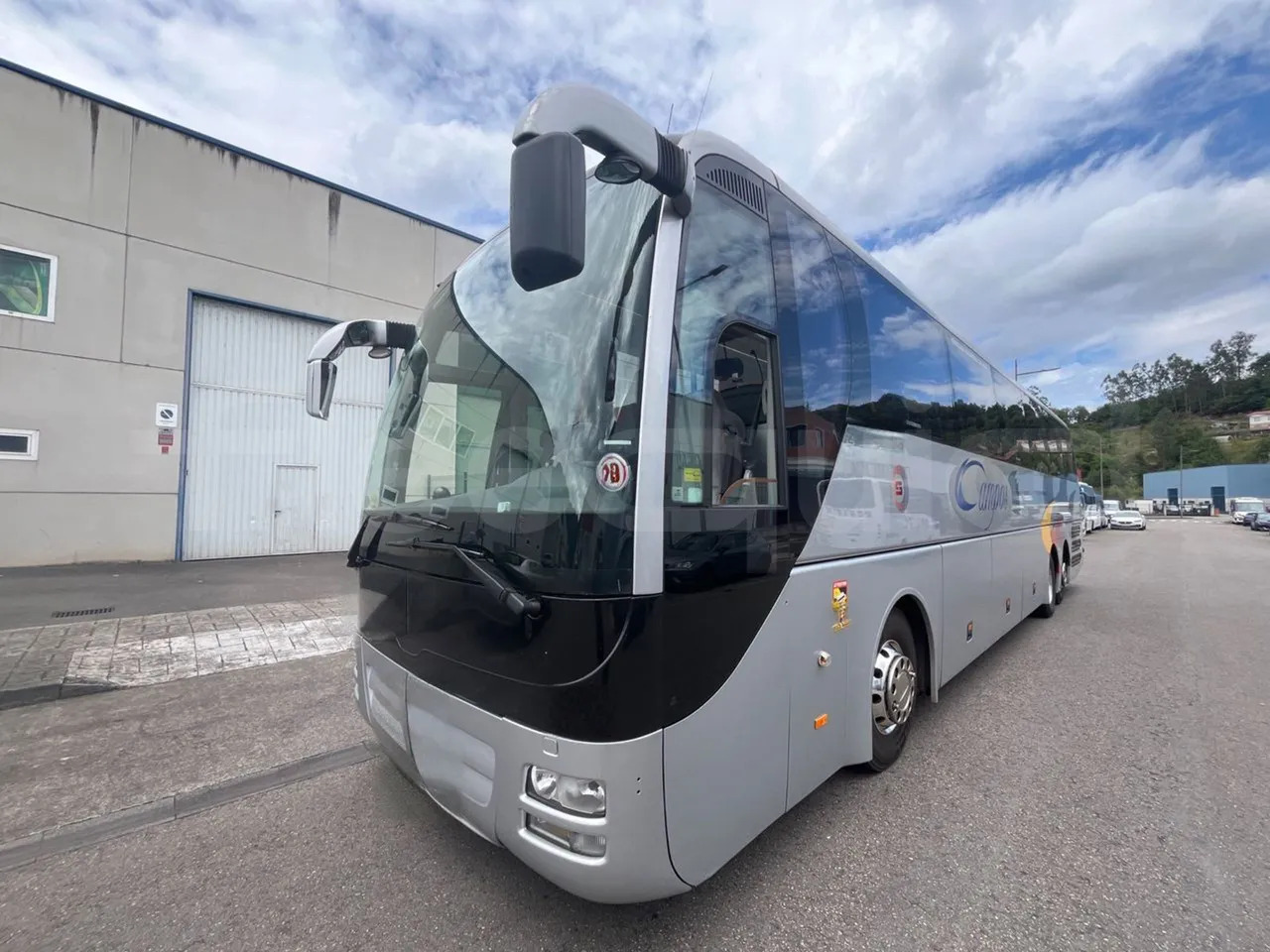 Man Lion's Coach - Coach: picture 4 Man Lion's Coach - Coach: picture 4