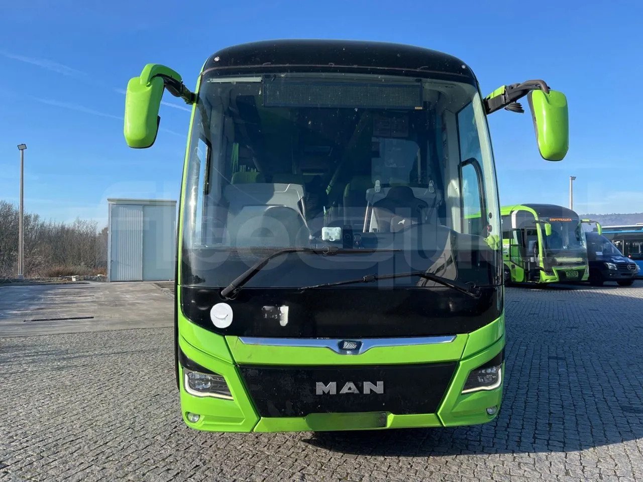 Man Lion's Coach - Coach: picture 2 Man Lion's Coach - Coach: picture 2