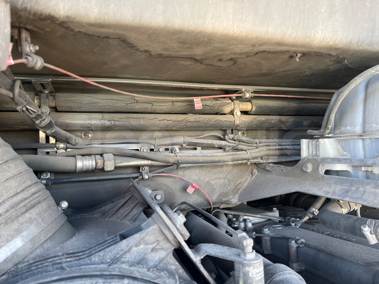 Leasing of  Man Lion's Coach Man Lion's Coach: picture 16