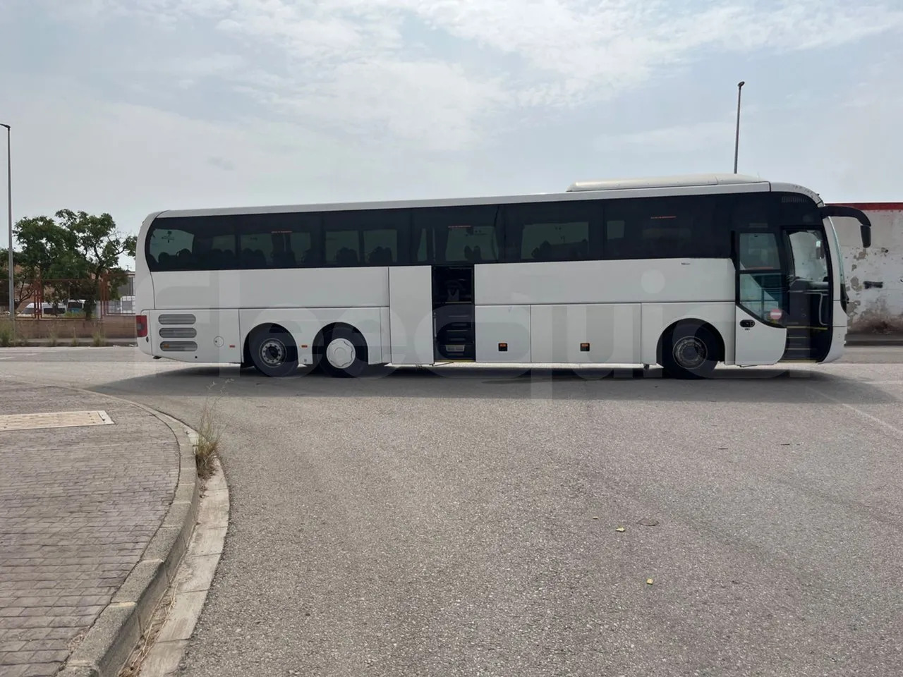 Coach Man Lion's Coach: picture 14 Coach Man Lion's Coach: picture 14