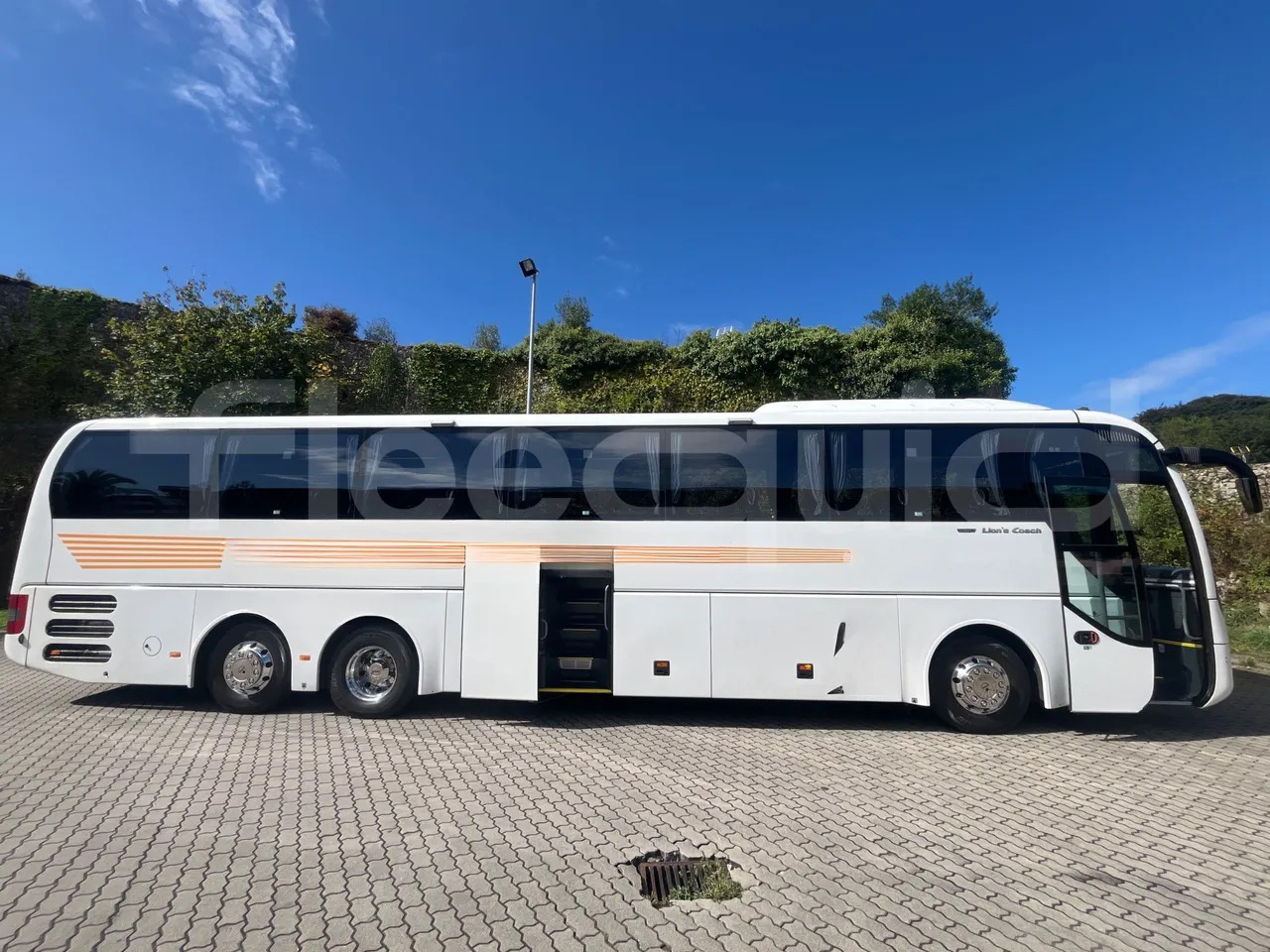 Leasing of Man Lion's Coach Man Lion's Coach: picture 19 Leasing of Man Lion's Coach Man Lion's Coach: picture 19