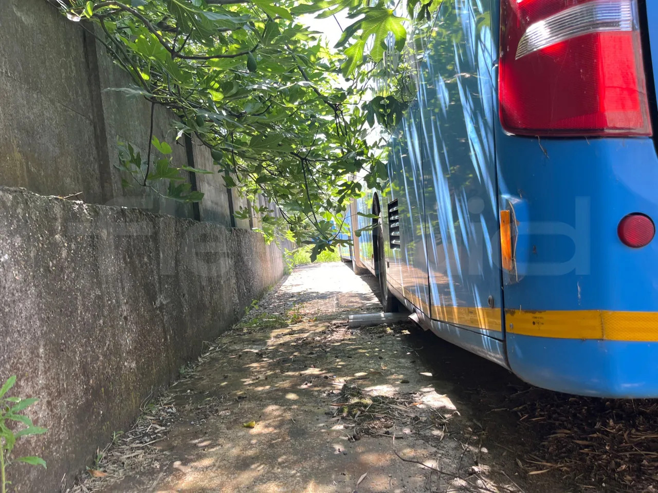 Mercedes-Benz Citaro G - City bus: picture 4 Mercedes-Benz Citaro G - City bus: picture 4