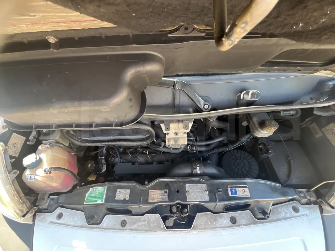 Suburban bus Peugeot 17P 440 BOXER: picture 18