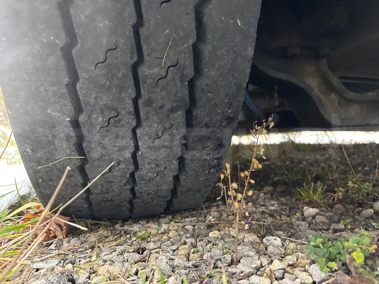 Articulated bus Solaris Urbino: picture 45