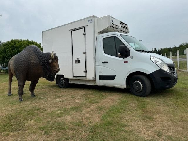 Renault Master - Refrigerated delivery van: picture 5 Renault Master - Refrigerated delivery van: picture 5