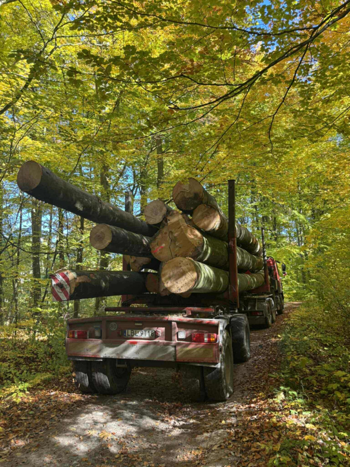 DAF CF510 - Timber truck, Crane truck: picture 3 DAF CF510 - Timber truck, Crane truck: picture 3