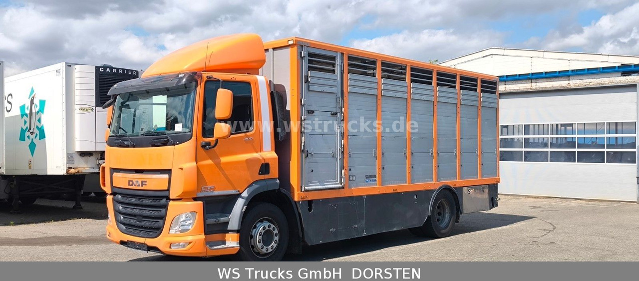 DAF CF 400 Menke Einstock - Horse truck: picture 2 DAF CF 400 Menke Einstock - Horse truck: picture 2