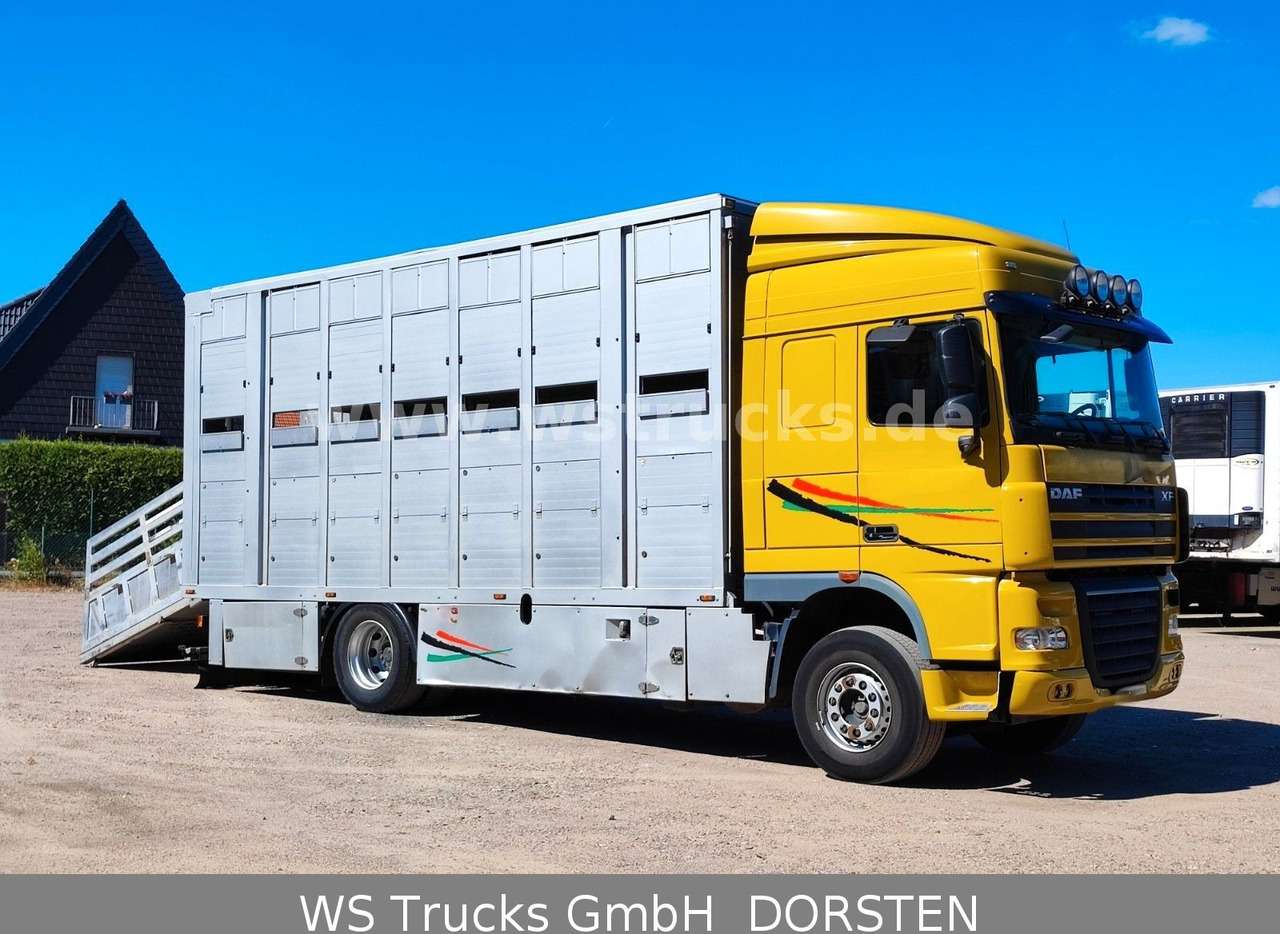 DAF XF 410 SC Menke Doppelstock - Horse truck: picture 5 DAF XF 410 SC Menke Doppelstock - Horse truck: picture 5