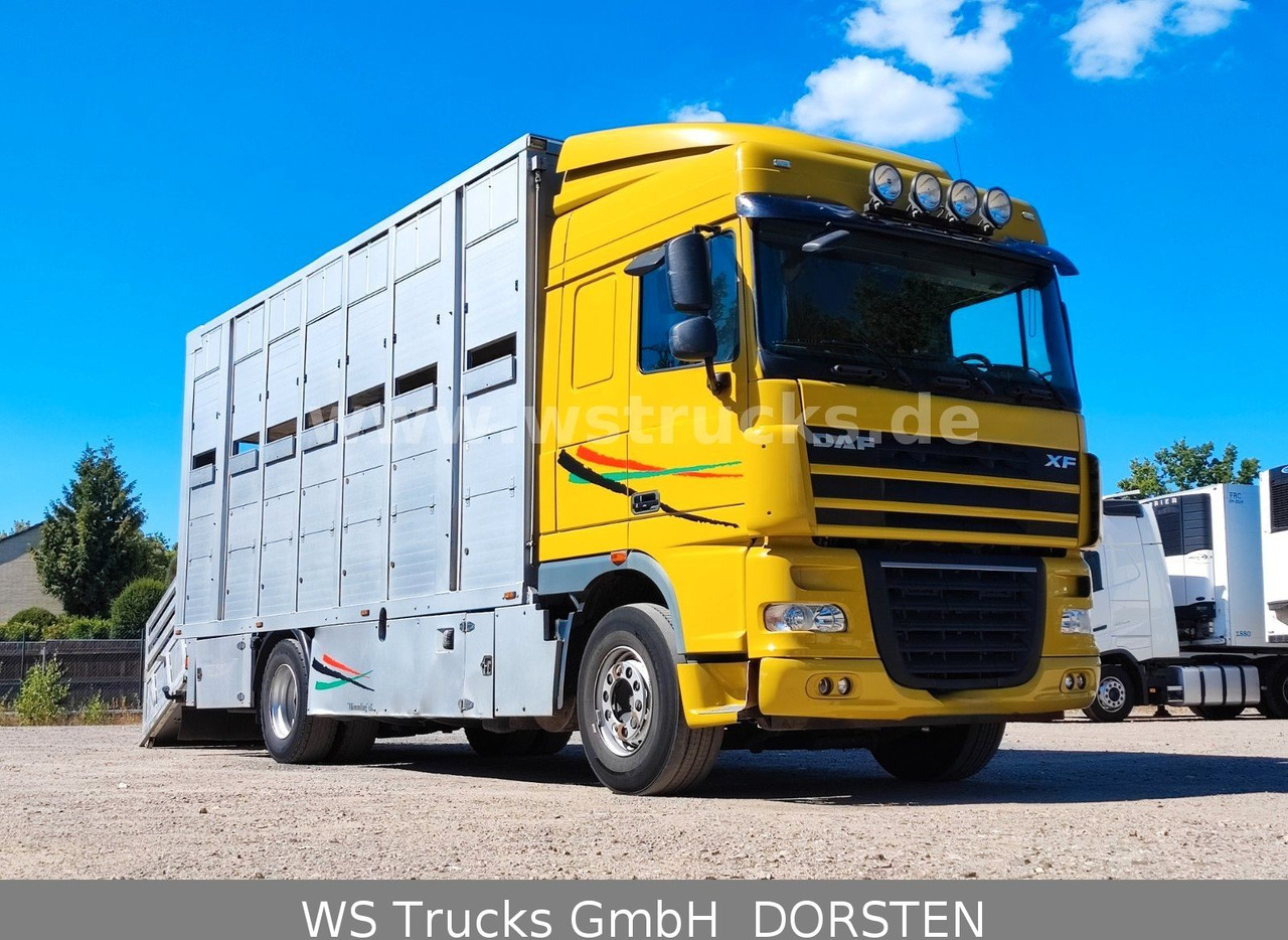 DAF XF 410 SC Menke Doppelstock - Horse truck: picture 3 DAF XF 410 SC Menke Doppelstock - Horse truck: picture 3