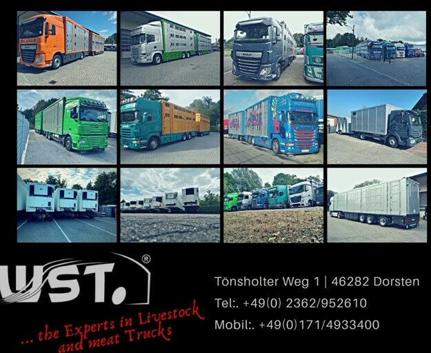 Closed box semi-trailer Krone Bi Temp  Thermo.Spectrum Doppelstock Trennwand: picture 35