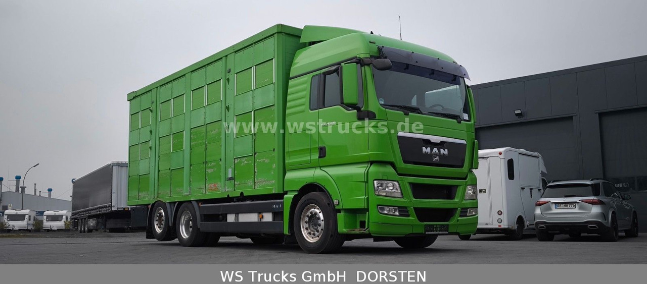 MAN TGX 26.480 XL KABA 3 Stock Vollalu - Horse truck: picture 4 MAN TGX 26.480 XL KABA 3 Stock Vollalu - Horse truck: picture 4