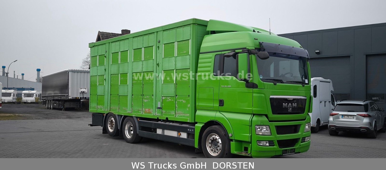 MAN TGX 26.480 XL KABA 3 Stock Vollalu - Horse truck: picture 3 MAN TGX 26.480 XL KABA 3 Stock Vollalu - Horse truck: picture 3