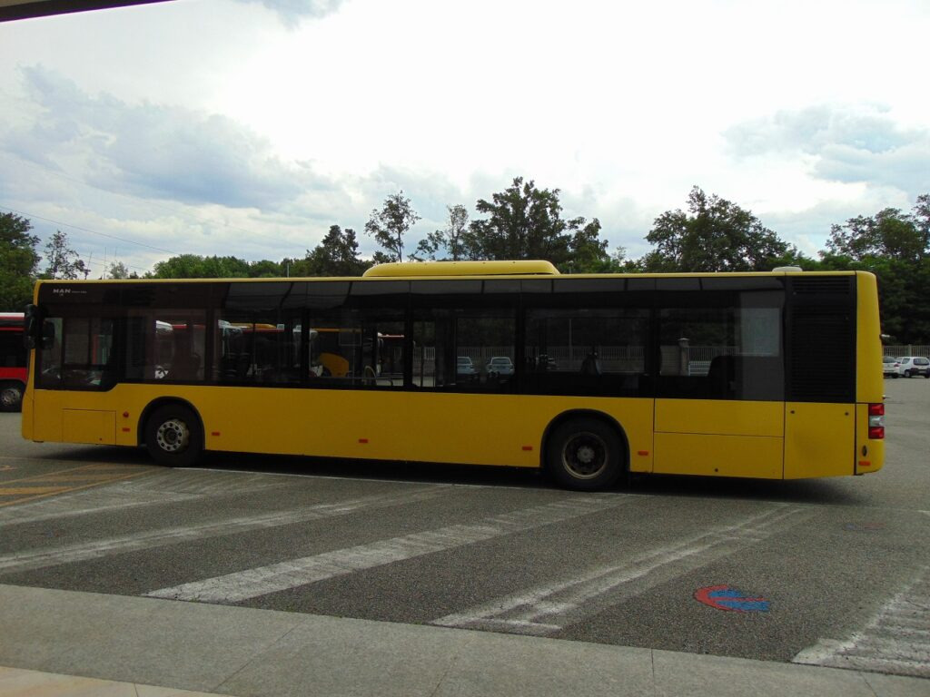 N.1 MAN LION’S CITY A37 LF – Anno 2012 - City bus: picture 4 N.1 MAN LION’S CITY A37 LF – Anno 2012 - City bus: picture 4