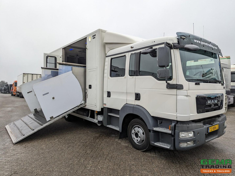 MAN TGL 12.180 4x2 DoKa 7 pers. Euro5 EEV - Paardenwagen 2-Paards - 147.000km! - MARGE - Horse truck: picture 1 MAN TGL 12.180 4x2 DoKa 7 pers. Euro5 EEV - Paardenwagen 2-Paards - 147.000km! - MARGE - Horse truck: picture 1