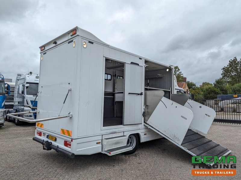 MAN TGL 12.250 4x2 Euro5 EEV RC HorseTruck - 2a3 Paards - 135.000km - MARGE (V821) - Horse truck: picture 1 MAN TGL 12.250 4x2 Euro5 EEV RC HorseTruck - 2a3 Paards - 135.000km - MARGE (V821) - Horse truck: picture 1