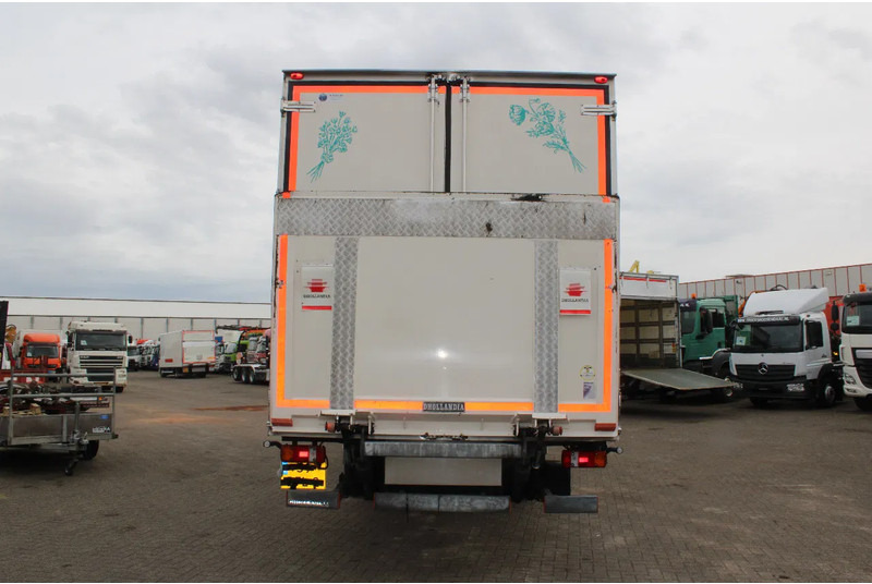 MAN TGM 12.250 + euro 6 + lift - Box truck: picture 5 MAN TGM 12.250 + euro 6 + lift - Box truck: picture 5