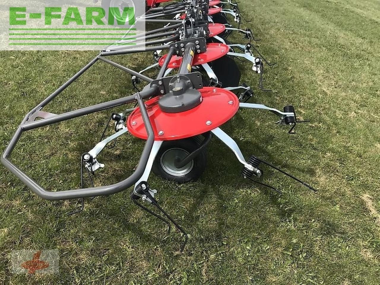 Tedder/ Rake Massey Ferguson mf td 1310 x trc / lotus 1250 profi: picture 8 Tedder/ Rake Massey Ferguson mf td 1310 x trc / lotus 1250 profi: picture 8