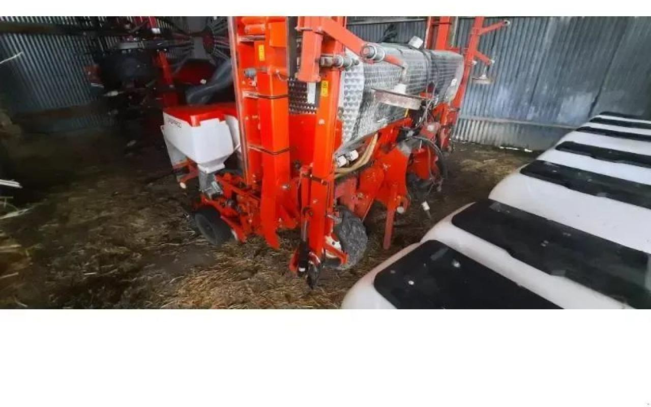 Mustang magica - Precision seeder: picture 2 Mustang magica - Precision seeder: picture 2