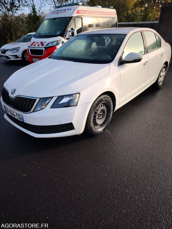 EV-644-CD - Non Roulant - SKODA OCTAVIA - VP - 339 260 Kms - Car: picture 2 EV-644-CD - Non Roulant - SKODA OCTAVIA - VP - 339 260 Kms - Car: picture 2
