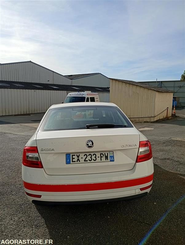 EX-233-PW - Non Roulant - SKODA OCTAVIA - VP - 427 764 Kms - Car: picture 4 EX-233-PW - Non Roulant - SKODA OCTAVIA - VP - 427 764 Kms - Car: picture 4