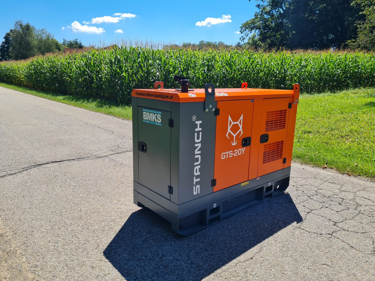 Staunch GTS-20Y - Generator set: picture 3 Staunch GTS-20Y - Generator set: picture 3