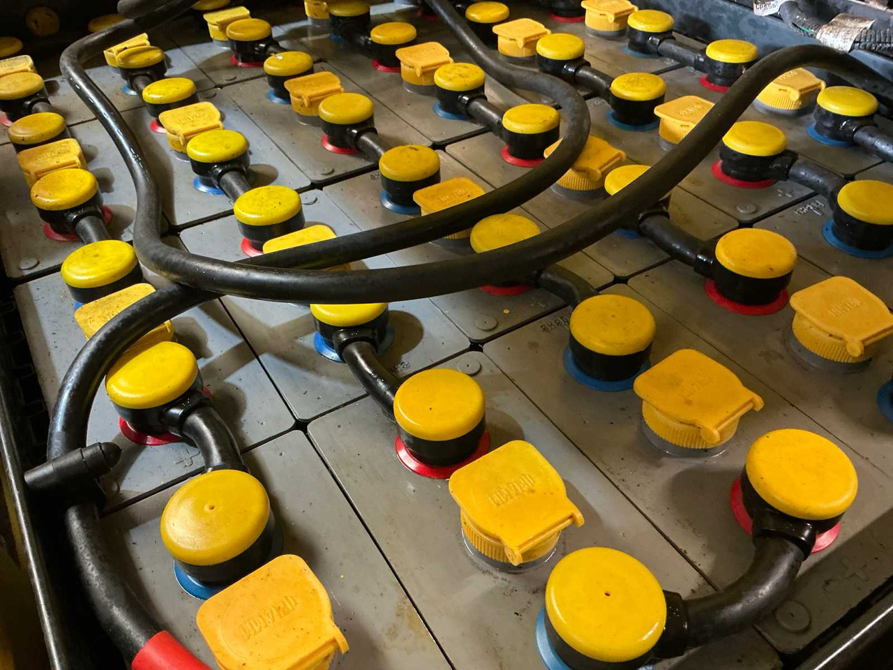 Forklift 2016 HYSTER J16XNTMWB FORKLIFT: picture 10